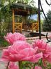 IMG-20200426-WA0052