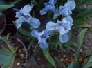 sapphire gem