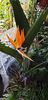 IMG-20200409-WA0000