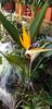 IMG-20200409-WA0002