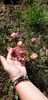 IMG-20200328-WA0002