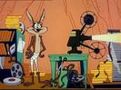 Road Runner and Wile E Coyote