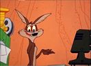 Road Runner and Wile E Coyote