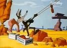 Road Runner and Wile E Coyote