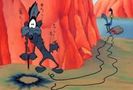 Road Runner and Wile E Coyote