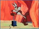 Road Runner and Wile E Coyote