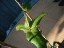 P1430806