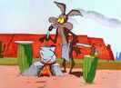 Road Runner and Wile E Coyote