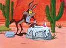 Road Runner and Wile E Coyote