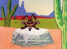 Road Runner and Wile E Coyote
