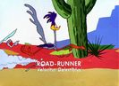 Road Runner and Wile E Coyote