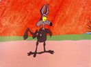 Road Runner and Wile E Coyote