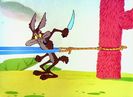 Road Runner and Wile E Coyote