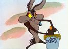 Road Runner and Wile E Coyote