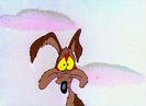 Road Runner and Wile E Coyote