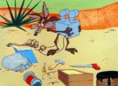 Road Runner and Wile E Coyote