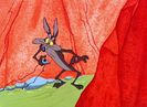 Road Runner and Wile E Coyote