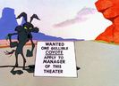 Road Runner and Wile E Coyote
