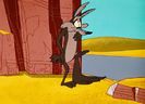 Road Runner and Wile E Coyote
