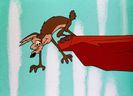 Road Runner and Wile E Coyote