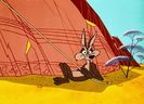 Road Runner and Wile E Coyote