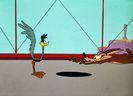 Road Runner and Wile E Coyote