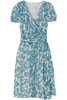 61887_in_dl