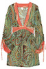 62078_in_dl