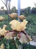 IMG-20200509-WA0009