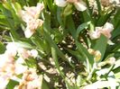 P1350597