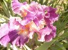 P1350768