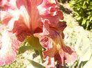 P1350809