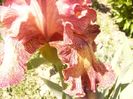 P1350810