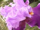 P1350836