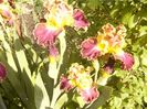 P1350851