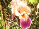 P1350858