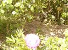 P1350881