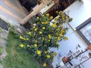 DB7D5FD7-5788-42FF-B2DD-35A3E4AA369A