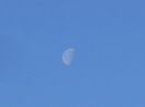 Luna in descrestere in Varsator