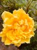 8B495D10-C6BA-4518-9D13-8DC7BB43758C