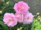 11B2E30F-DBD4-4162-BAF5-C75355E08ED3