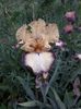IMG-20200514-WA0023