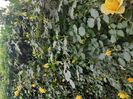 IMG-20200515-WA0067