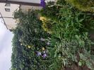 IMG-20200515-WA0065