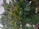 IMG-20200515-WA0064
