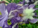 IMG-20200515-WA0059
