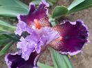 IMG-20200515-WA0058