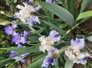 IMG-20200515-WA0055