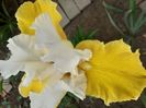IMG-20200515-WA0054