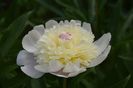 IMG-20200515-WA0048